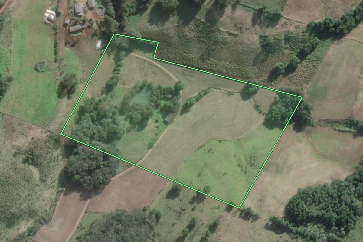 Imagem de satélite do imóvel rural em São Domingos (SC), com o contorno declarado no CAR desenhado por cima.