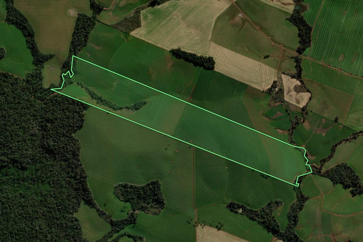 Imagem de satélite do imóvel rural em São Domingos (SC), com o contorno declarado no CAR desenhado por cima.