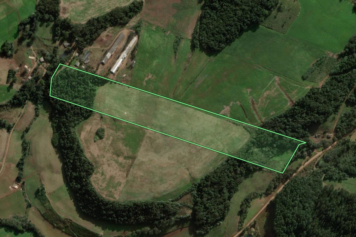 Imagem de satélite do imóvel rural em São Domingos (SC), com o contorno declarado no CAR desenhado por cima.