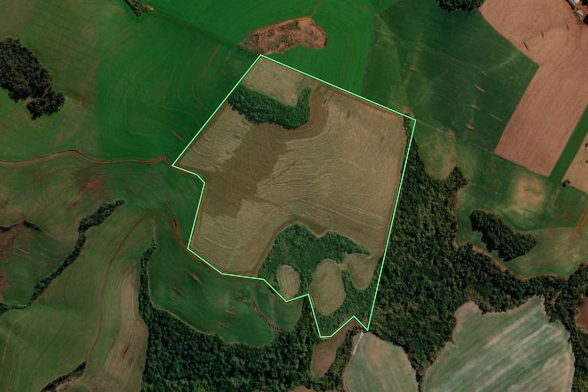 Imagem de satélite do imóvel rural em São Domingos (SC), com o contorno declarado no CAR desenhado por cima.