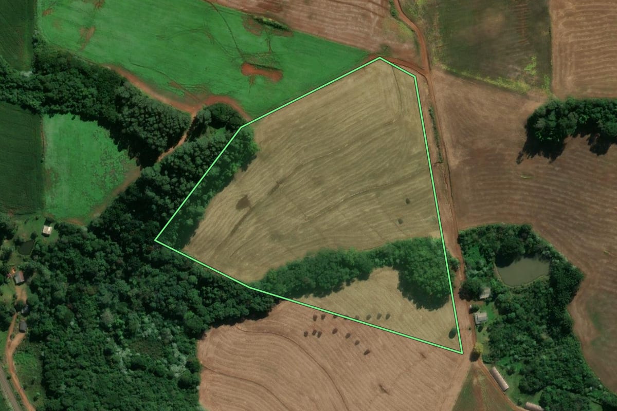 Imagem de satélite do imóvel rural em São Domingos (SC), com o contorno declarado no CAR desenhado por cima.