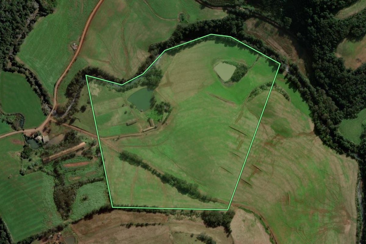 Imagem de satélite do imóvel rural em São Domingos (SC), com o contorno declarado no CAR desenhado por cima.