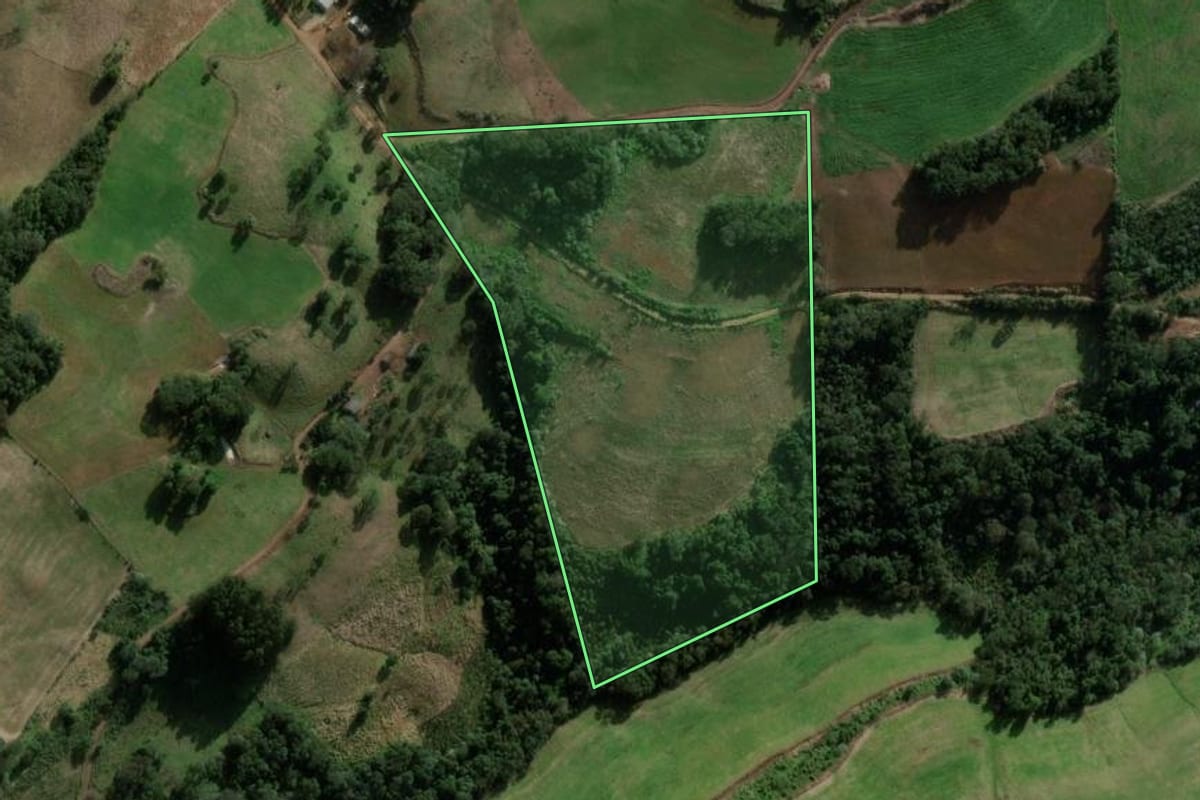 Imagem de satélite do imóvel rural em São Domingos (SC), com o contorno declarado no CAR desenhado por cima.