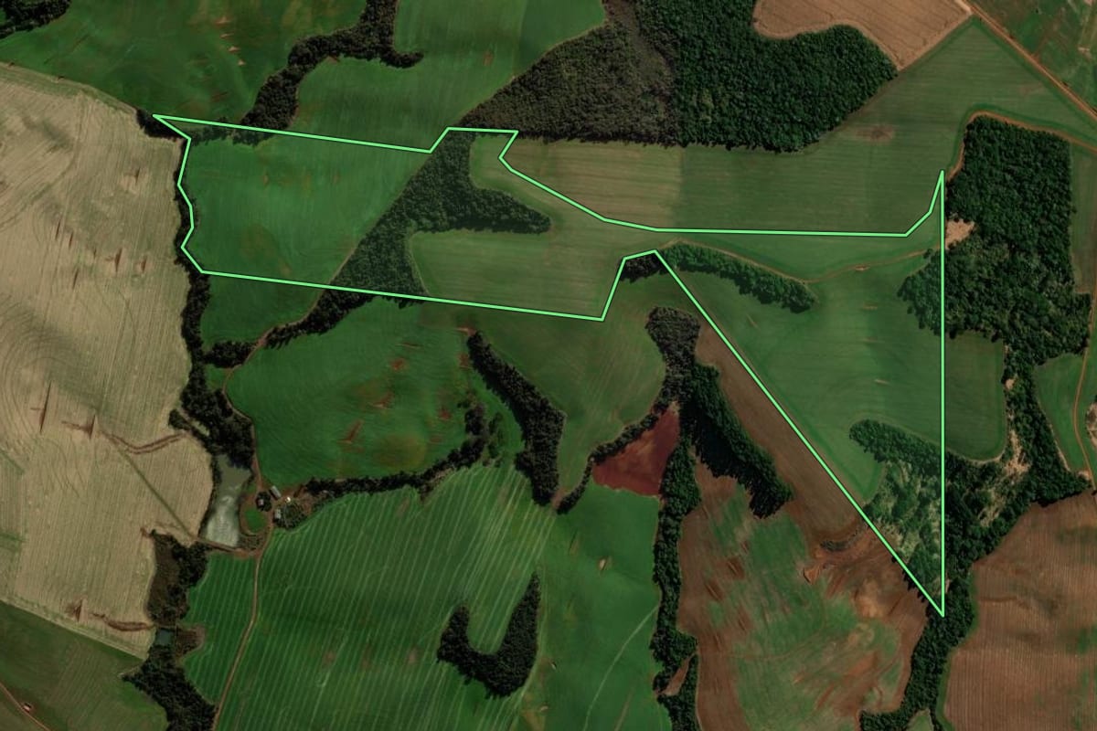 Imagem de satélite do imóvel rural em São Domingos (SC), com o contorno declarado no CAR desenhado por cima.
