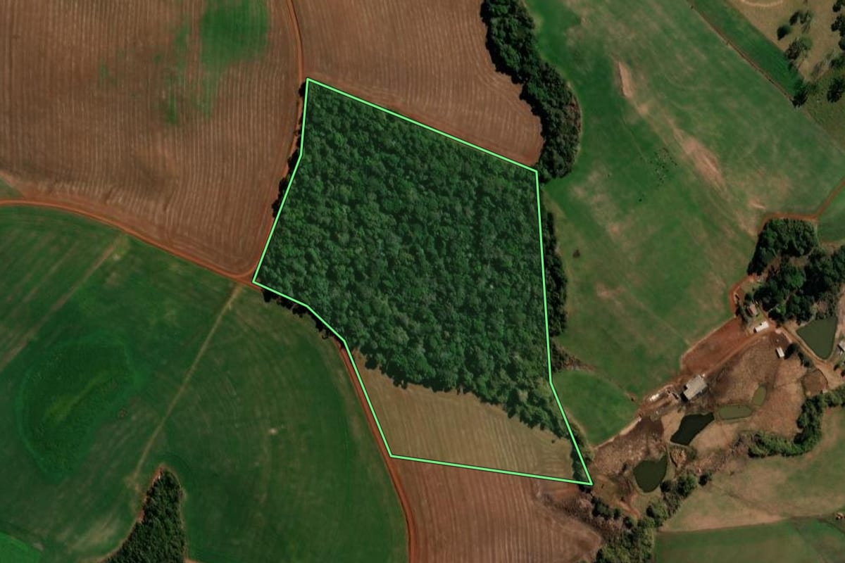 Imagem de satélite do imóvel rural em São Domingos (SC), com o contorno declarado no CAR desenhado por cima.