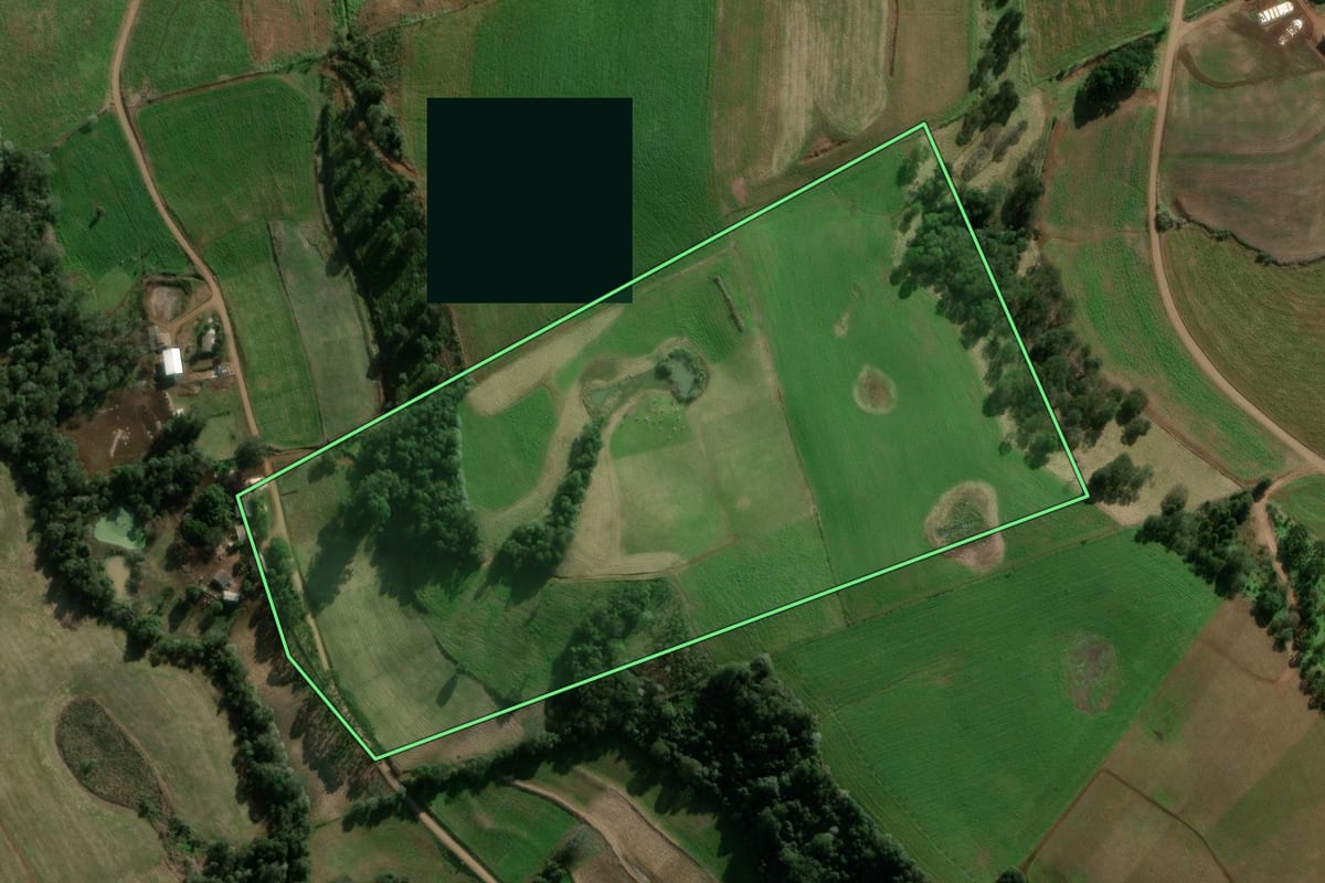 Imagem de satélite do imóvel rural em São Domingos (SC), com o contorno declarado no CAR desenhado por cima.