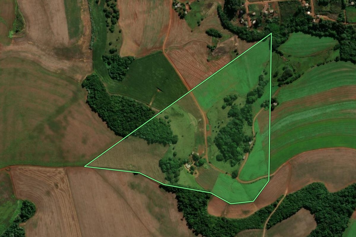 Imagem de satélite do imóvel rural em São Domingos (SC), com o contorno declarado no CAR desenhado por cima.