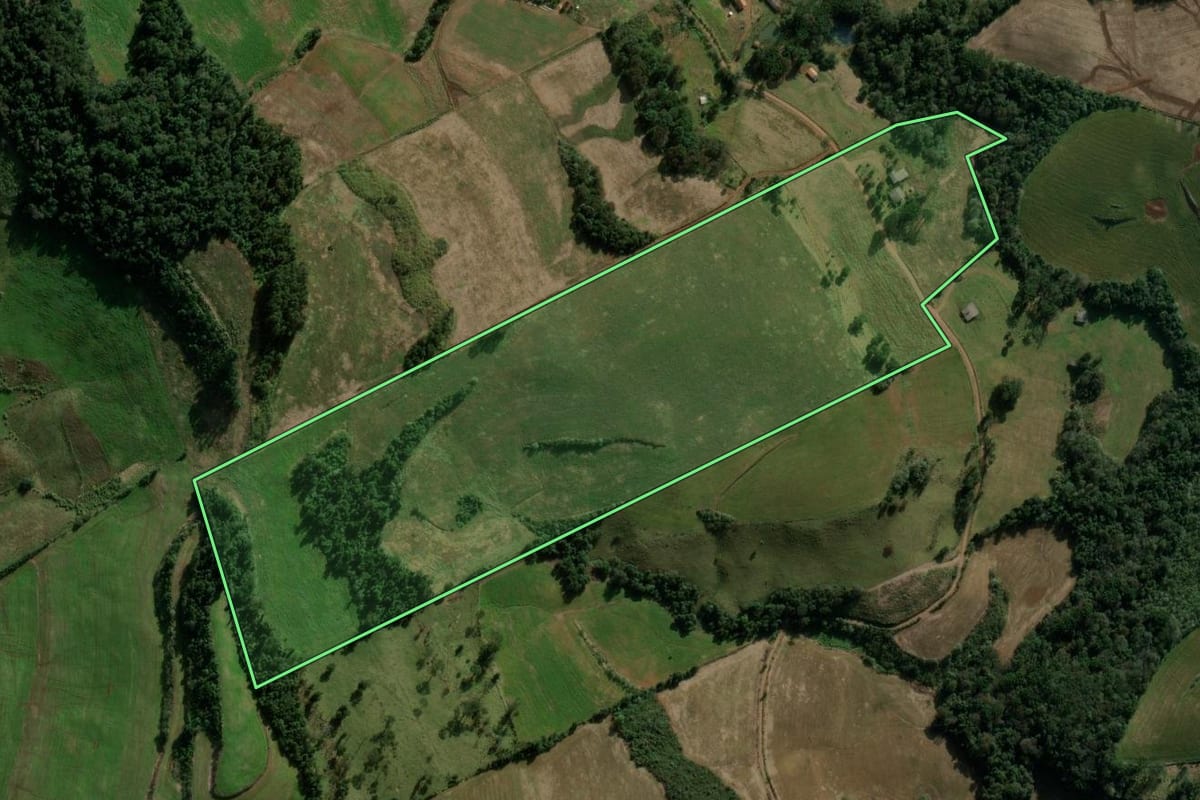Imagem de satélite do imóvel rural em São Domingos (SC), com o contorno declarado no CAR desenhado por cima.