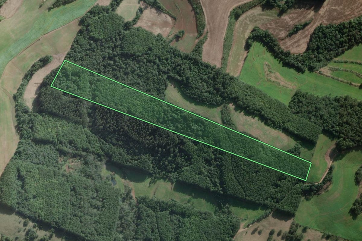 Imagem de satélite do imóvel rural em São Domingos (SC), com o contorno declarado no CAR desenhado por cima.