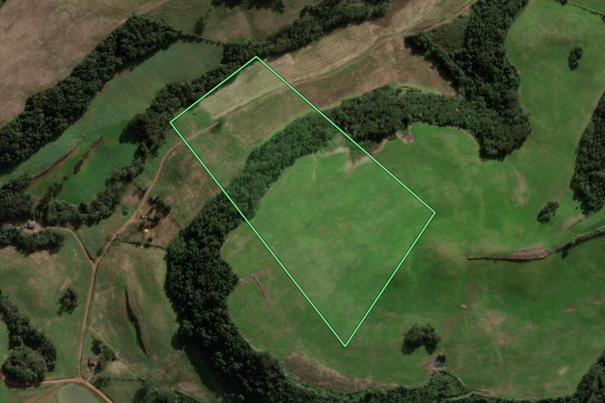 Imagem de satélite do imóvel rural em São Domingos (SC), com o contorno declarado no CAR desenhado por cima.