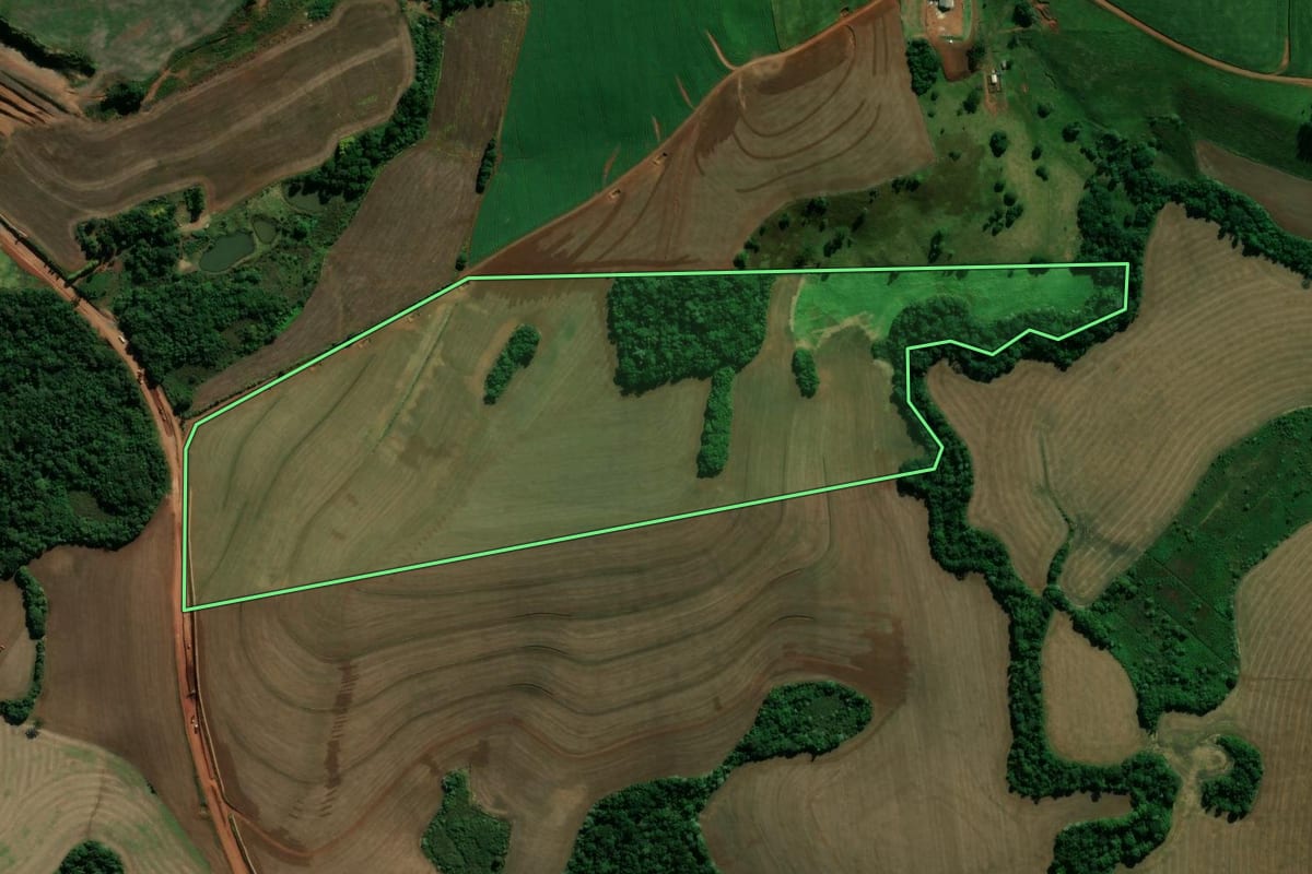 Imagem de satélite do imóvel rural em São Domingos (SC), com o contorno declarado no CAR desenhado por cima.