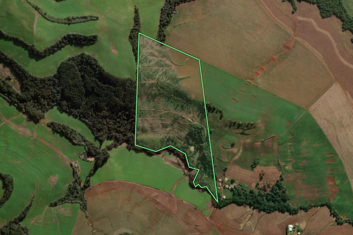 Imagem de satélite do imóvel rural em São Domingos (SC), com o contorno declarado no CAR desenhado por cima.