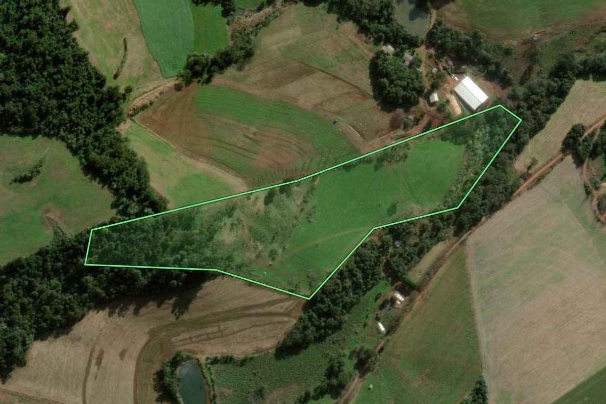 Imagem de satélite do imóvel rural em São Domingos (SC), com o contorno declarado no CAR desenhado por cima.