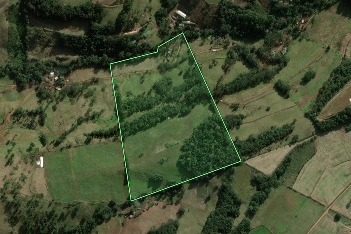 Imagem de satélite do imóvel rural em São Domingos (SC), com o contorno declarado no CAR desenhado por cima.