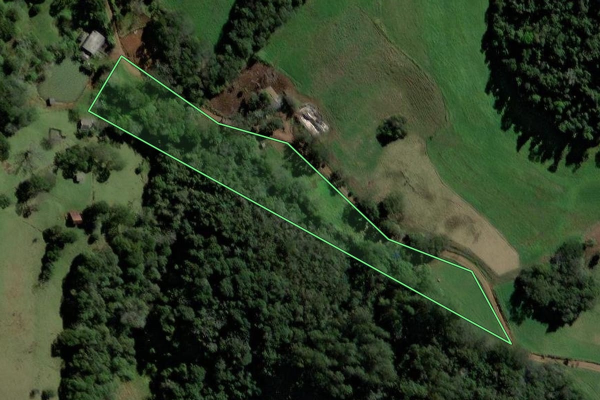 Imagem de satélite do imóvel rural em São Domingos (SC), com o contorno declarado no CAR desenhado por cima.