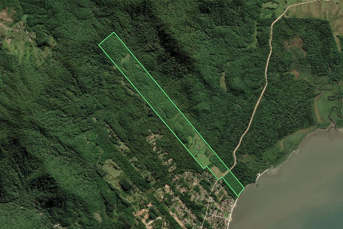 Imagem de satélite do imóvel rural em São Francisco do Sul (SC), com o contorno declarado no CAR desenhado por cima.