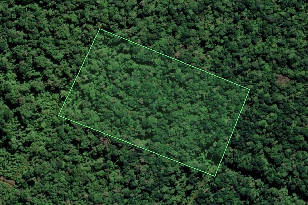 Imagem de satélite do imóvel rural em São Francisco do Sul (SC), com o contorno declarado no CAR desenhado por cima.