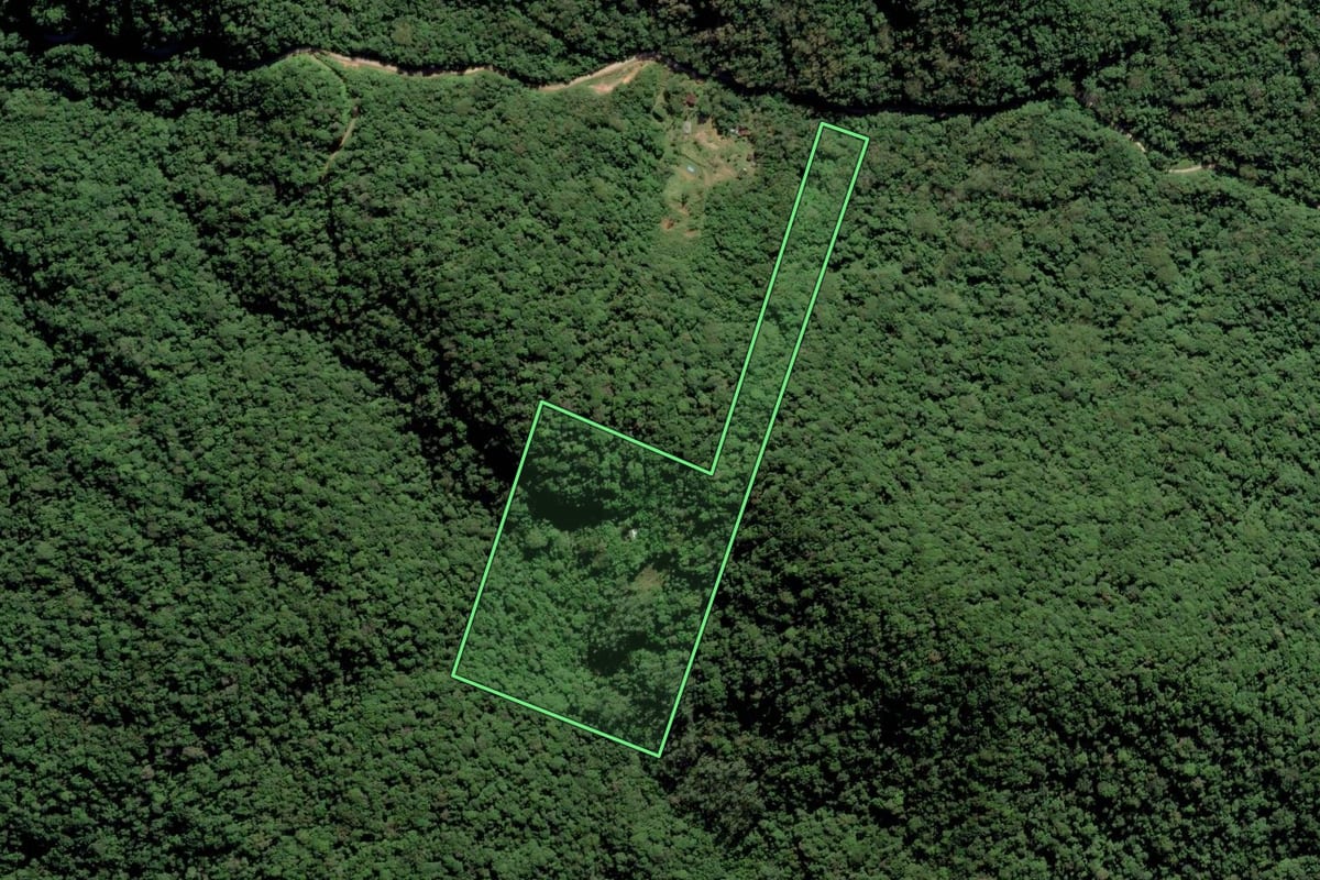 Imagem de satélite do imóvel rural em São Francisco do Sul (SC), com o contorno declarado no CAR desenhado por cima.