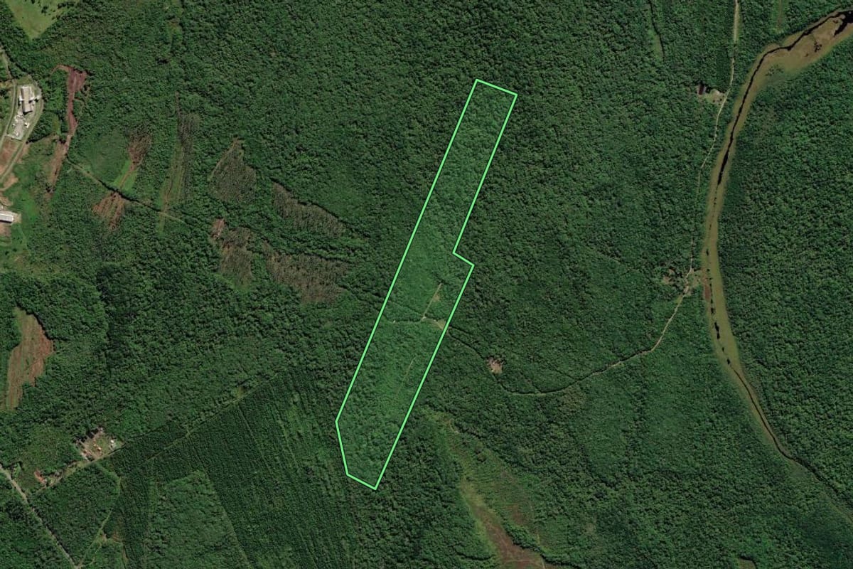 Imagem de satélite do imóvel rural em São Francisco do Sul (SC), com o contorno declarado no CAR desenhado por cima.