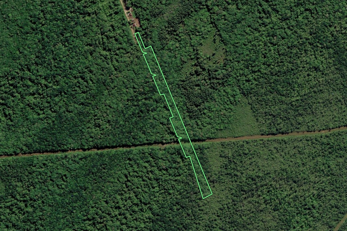 Imagem de satélite do imóvel rural em São Francisco do Sul (SC), com o contorno declarado no CAR desenhado por cima.