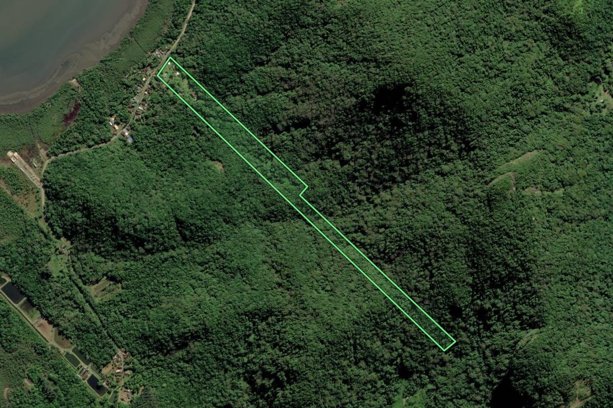 Imagem de satélite do imóvel rural em São Francisco do Sul (SC), com o contorno declarado no CAR desenhado por cima.