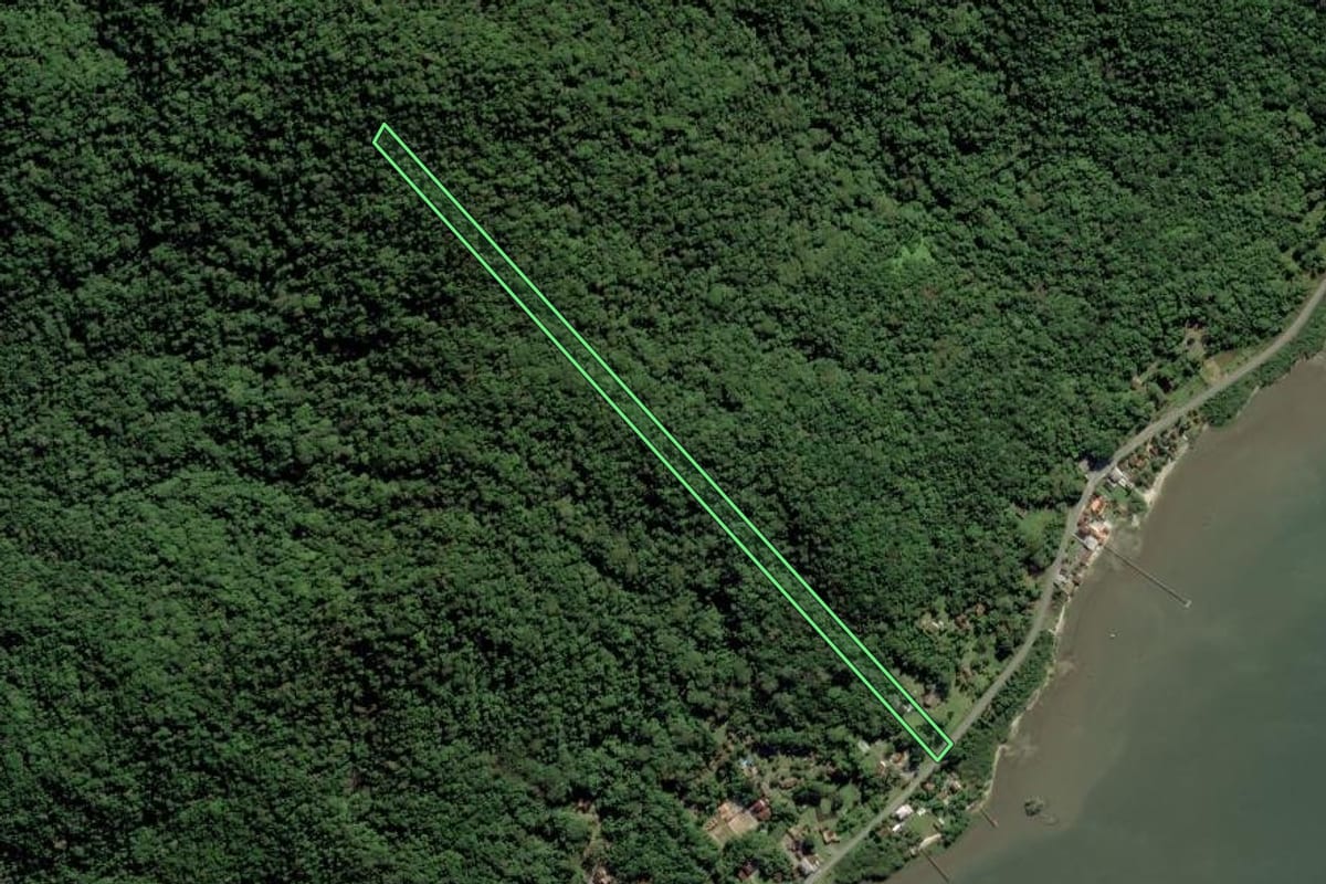 Imagem de satélite do imóvel rural em São Francisco do Sul (SC), com o contorno declarado no CAR desenhado por cima.