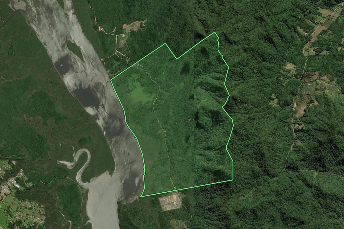 Imagem de satélite do imóvel rural em São Francisco do Sul (SC), com o contorno declarado no CAR desenhado por cima.