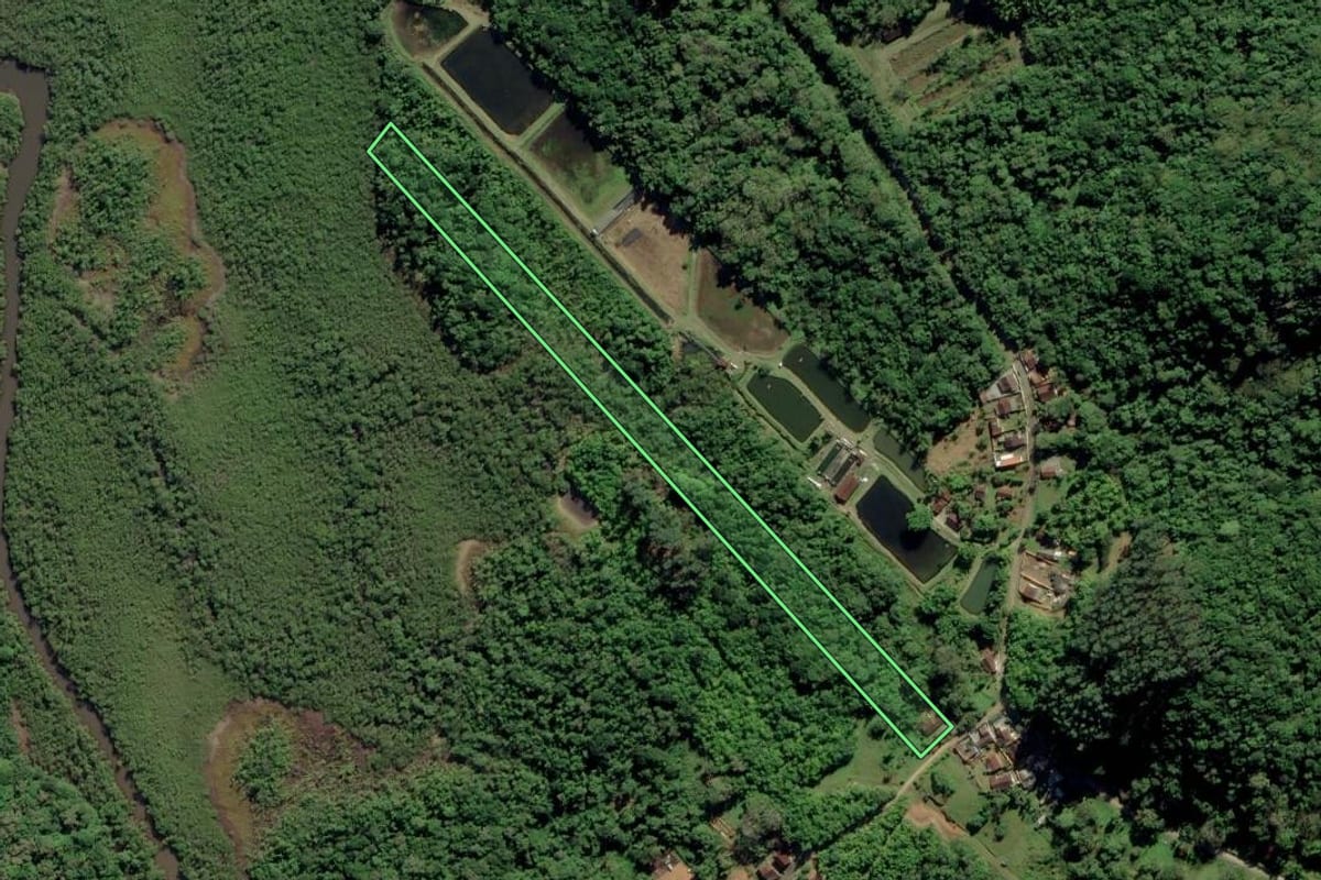 Imagem de satélite do imóvel rural em São Francisco do Sul (SC), com o contorno declarado no CAR desenhado por cima.