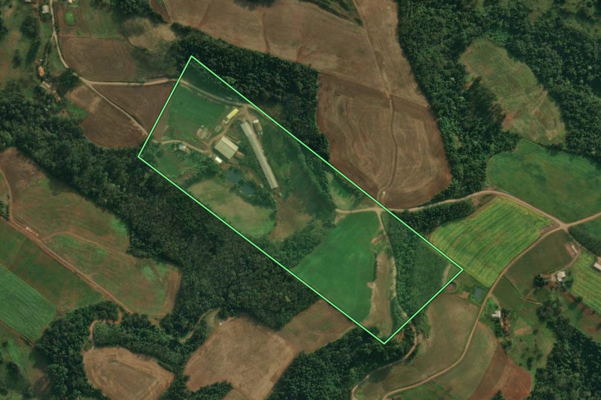 Imagem de satélite do imóvel rural em São João do Oeste (SC), com o contorno declarado no CAR desenhado por cima.