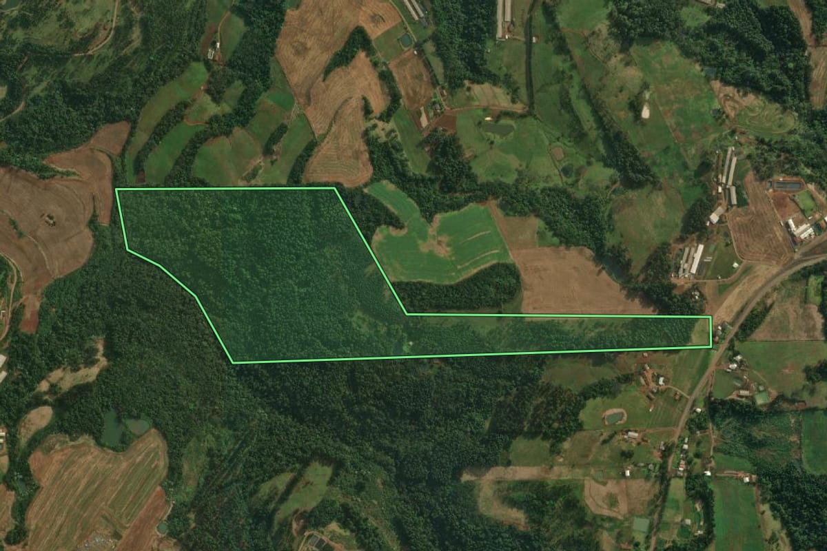 Imagem de satélite do imóvel rural em São João do Oeste (SC), com o contorno declarado no CAR desenhado por cima.