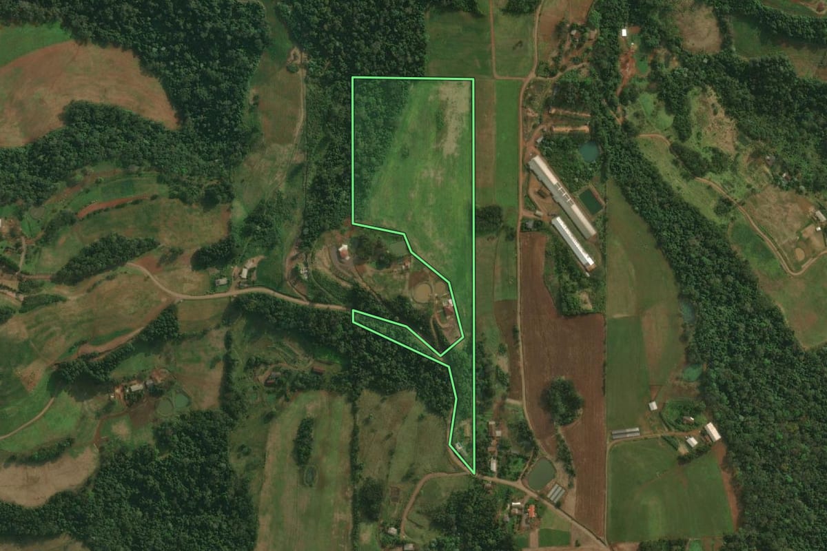 Imagem de satélite do imóvel rural em São João do Oeste (SC), com o contorno declarado no CAR desenhado por cima.