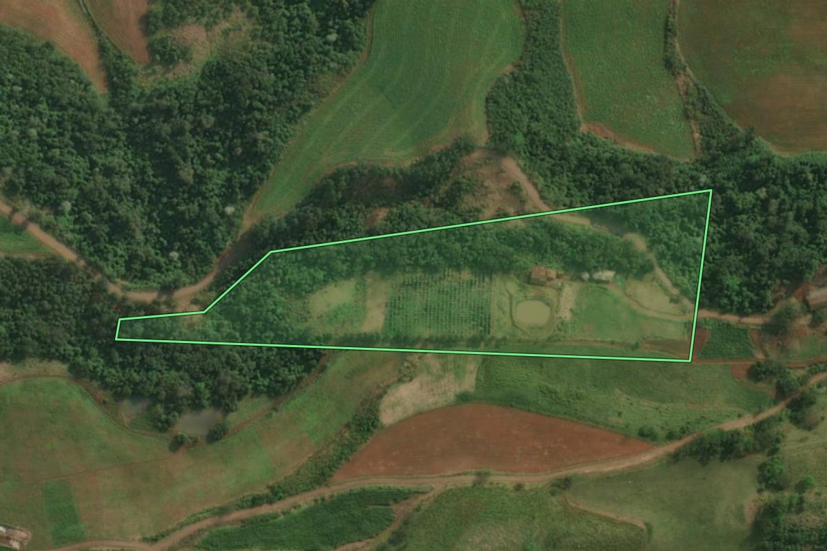 Imagem de satélite do imóvel rural em São João do Oeste (SC), com o contorno declarado no CAR desenhado por cima.