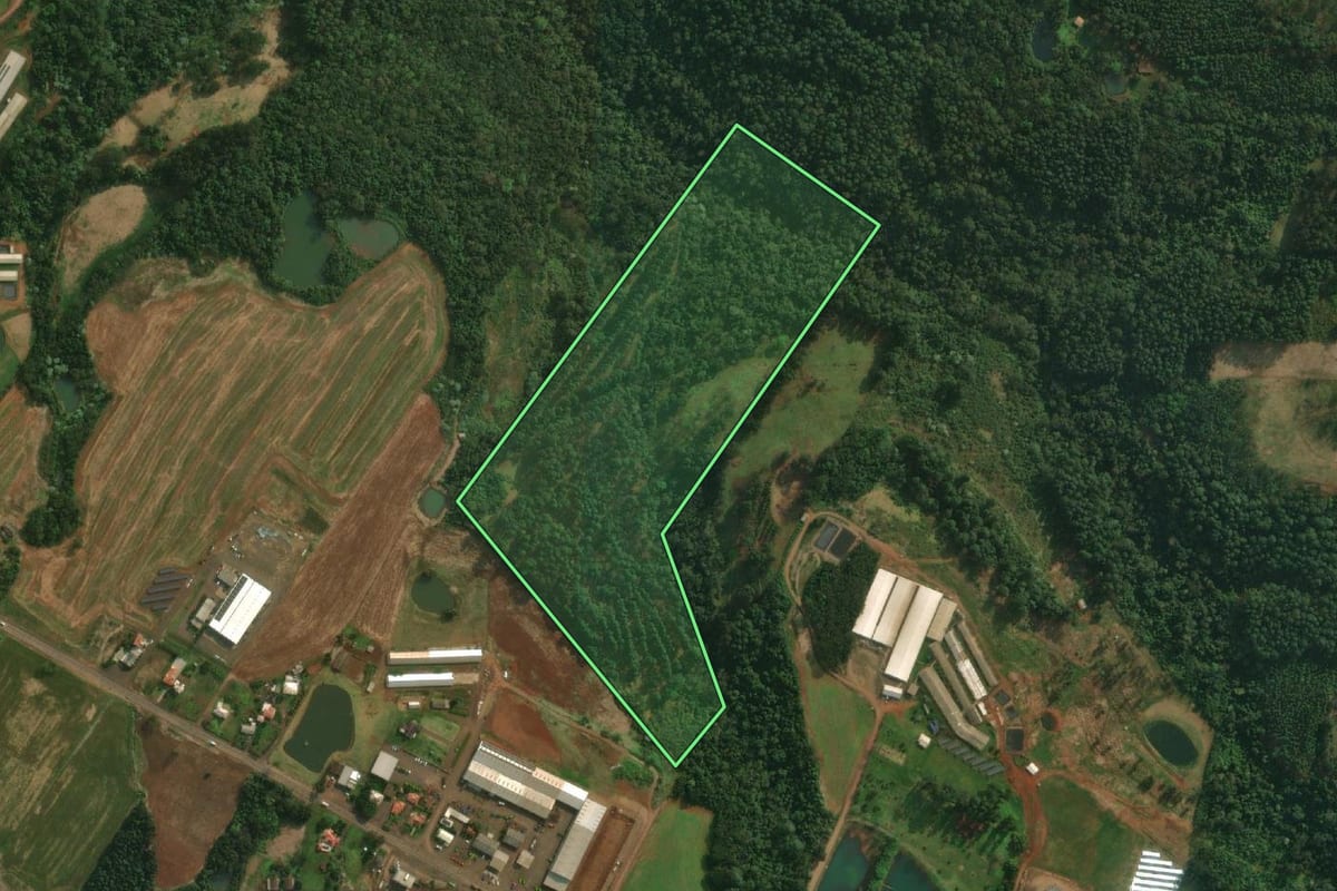 Imagem de satélite do imóvel rural em São João do Oeste (SC), com o contorno declarado no CAR desenhado por cima.