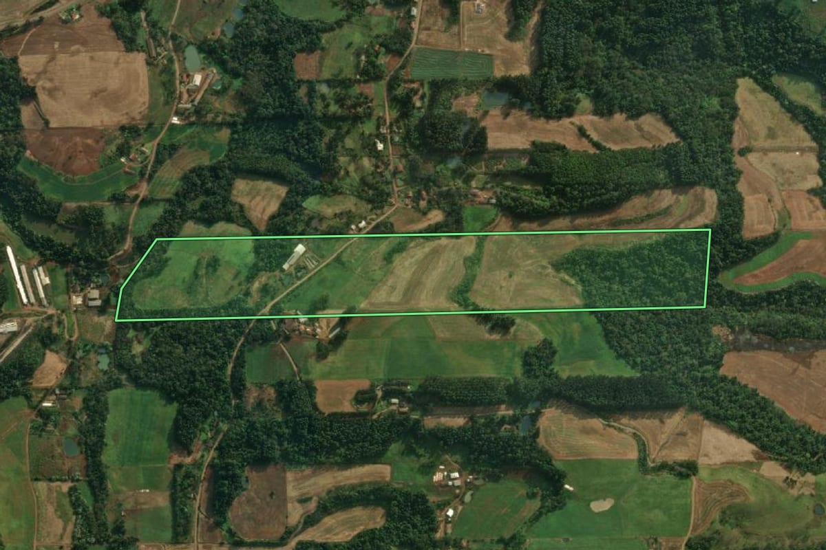 Imagem de satélite do imóvel rural em São João do Oeste (SC), com o contorno declarado no CAR desenhado por cima.