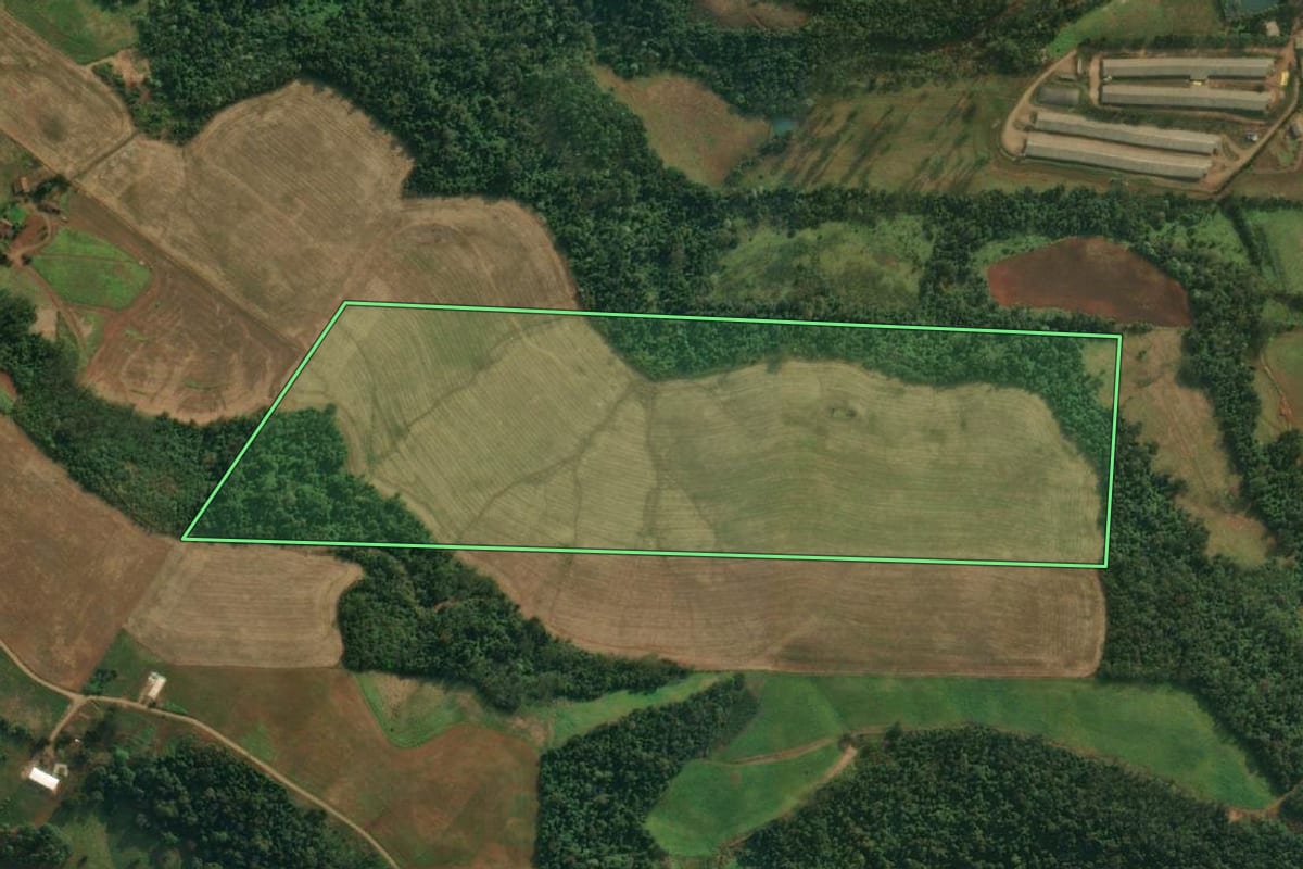 Imagem de satélite do imóvel rural em São João do Oeste (SC), com o contorno declarado no CAR desenhado por cima.