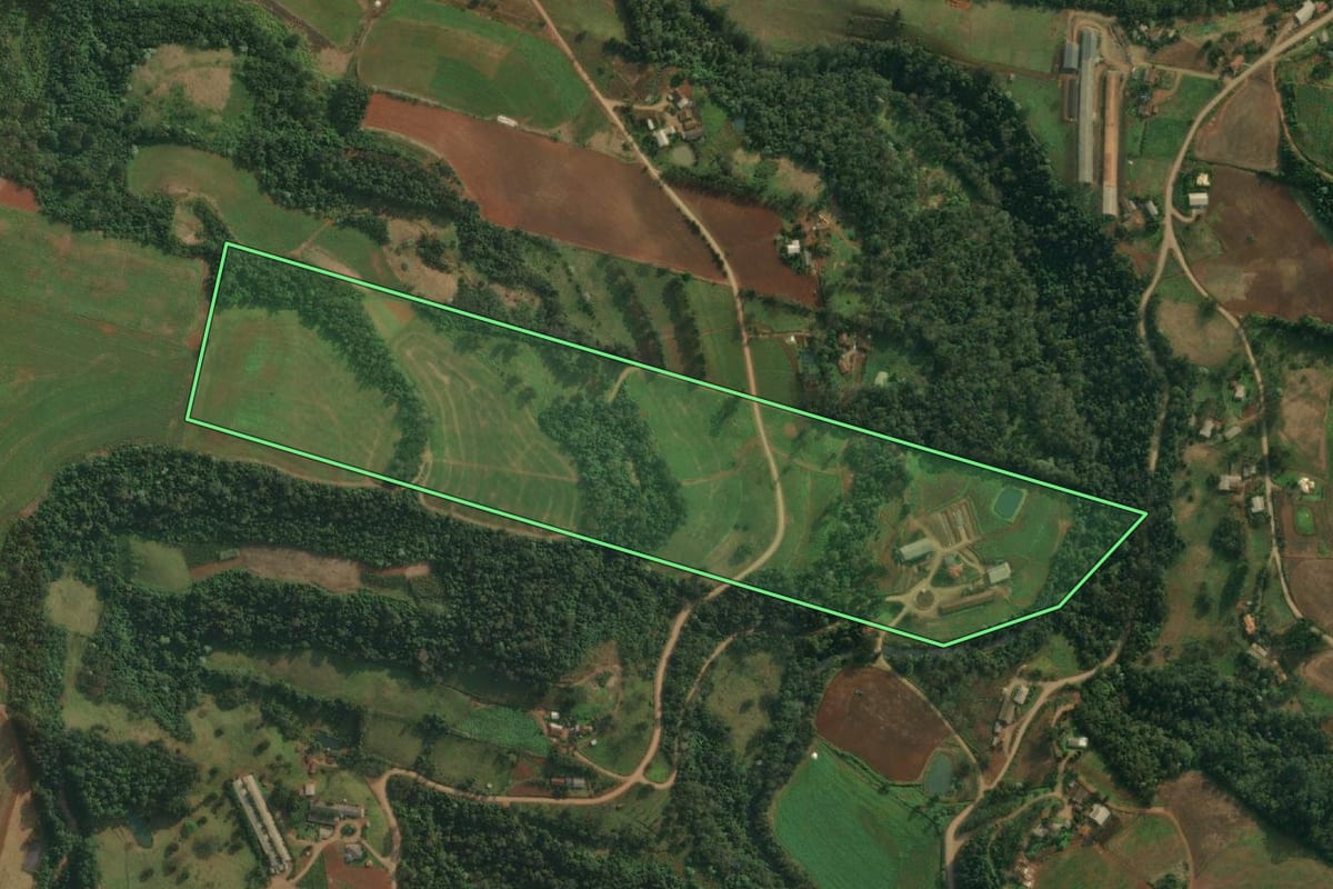 Imagem de satélite do imóvel rural em São João do Oeste (SC), com o contorno declarado no CAR desenhado por cima.