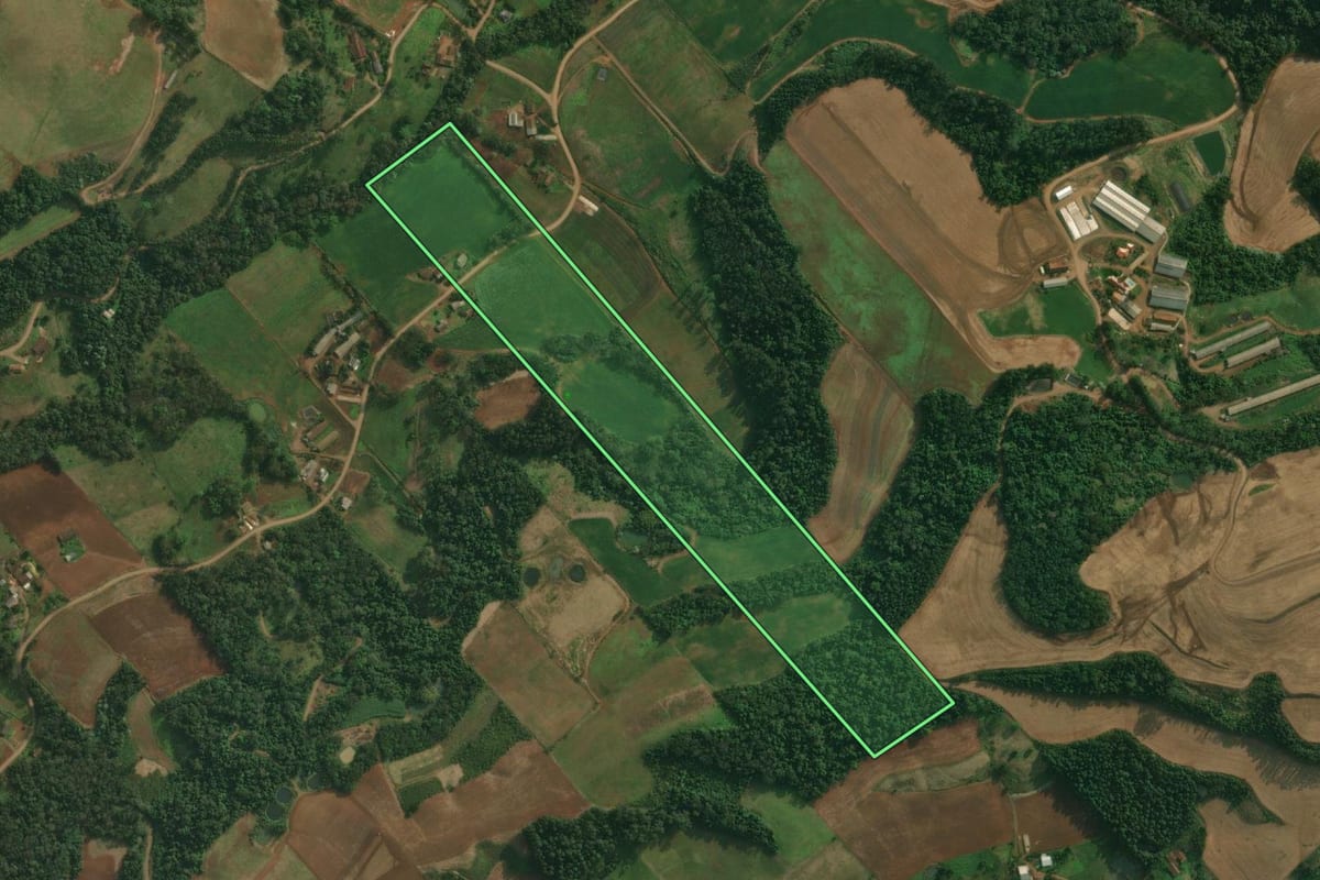 Imagem de satélite do imóvel rural em São João do Oeste (SC), com o contorno declarado no CAR desenhado por cima.