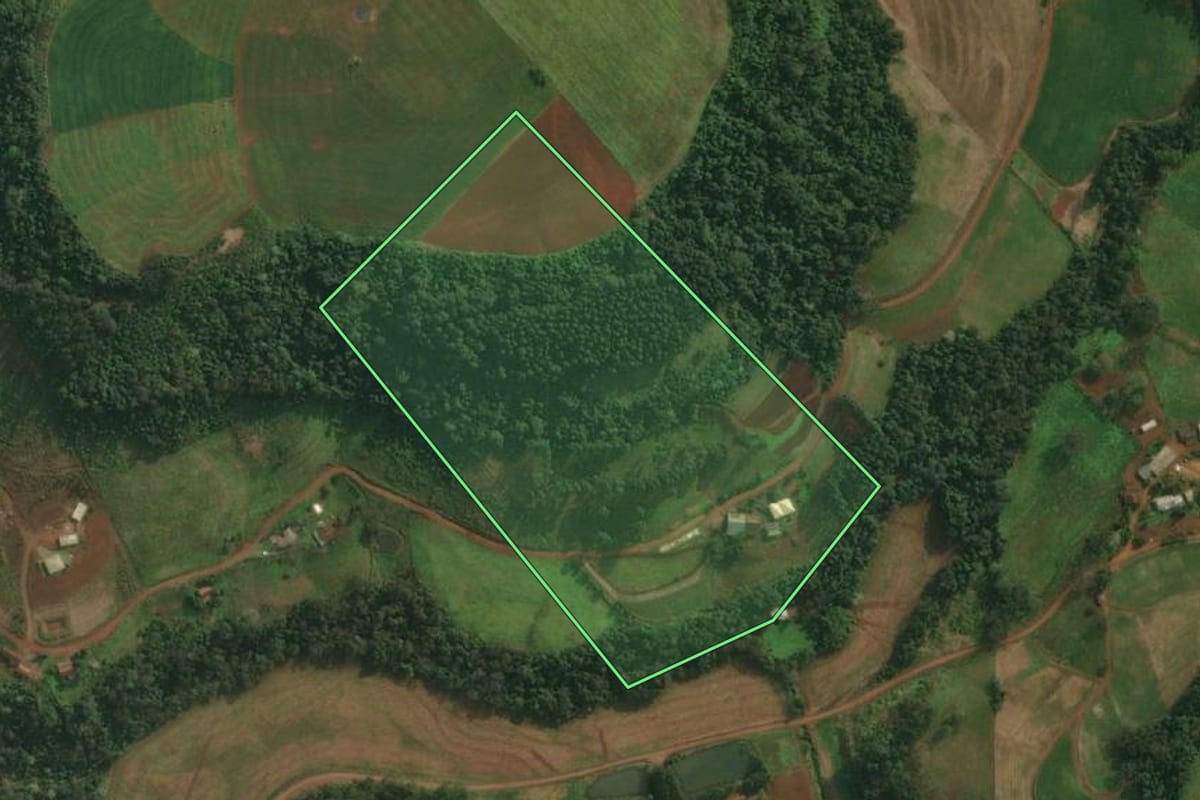 Imagem de satélite do imóvel rural em São João do Oeste (SC), com o contorno declarado no CAR desenhado por cima.