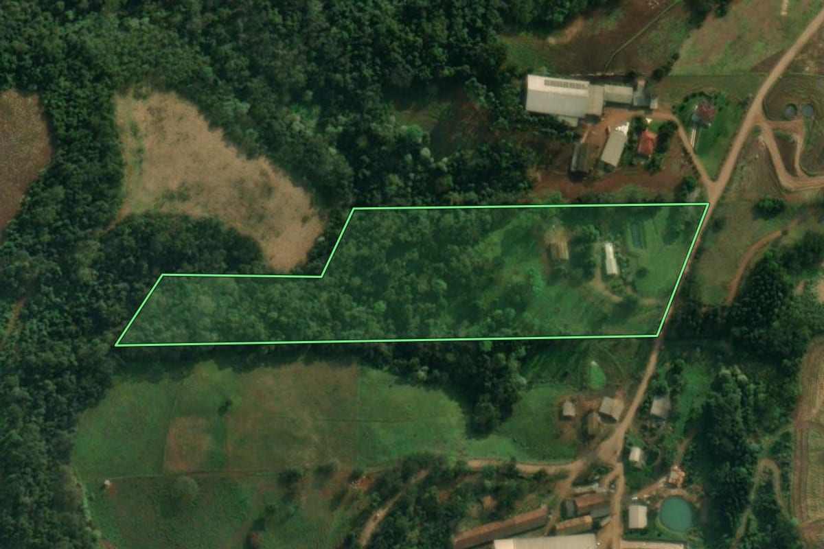 Imagem de satélite do imóvel rural em São João do Oeste (SC), com o contorno declarado no CAR desenhado por cima.
