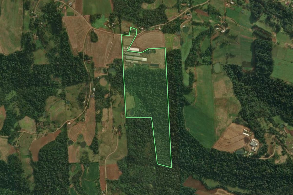 Imagem de satélite do imóvel rural em São João do Oeste (SC), com o contorno declarado no CAR desenhado por cima.