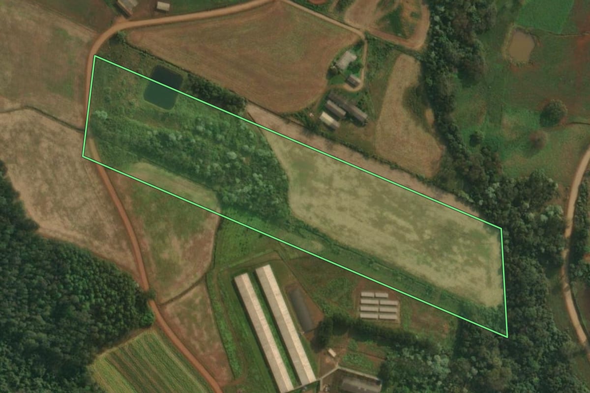 Imagem de satélite do imóvel rural em São João do Oeste (SC), com o contorno declarado no CAR desenhado por cima.