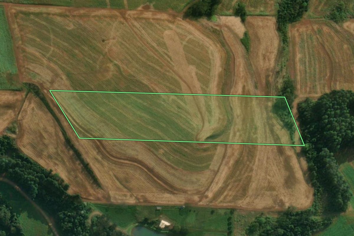Imagem de satélite do imóvel rural em São João do Oeste (SC), com o contorno declarado no CAR desenhado por cima.