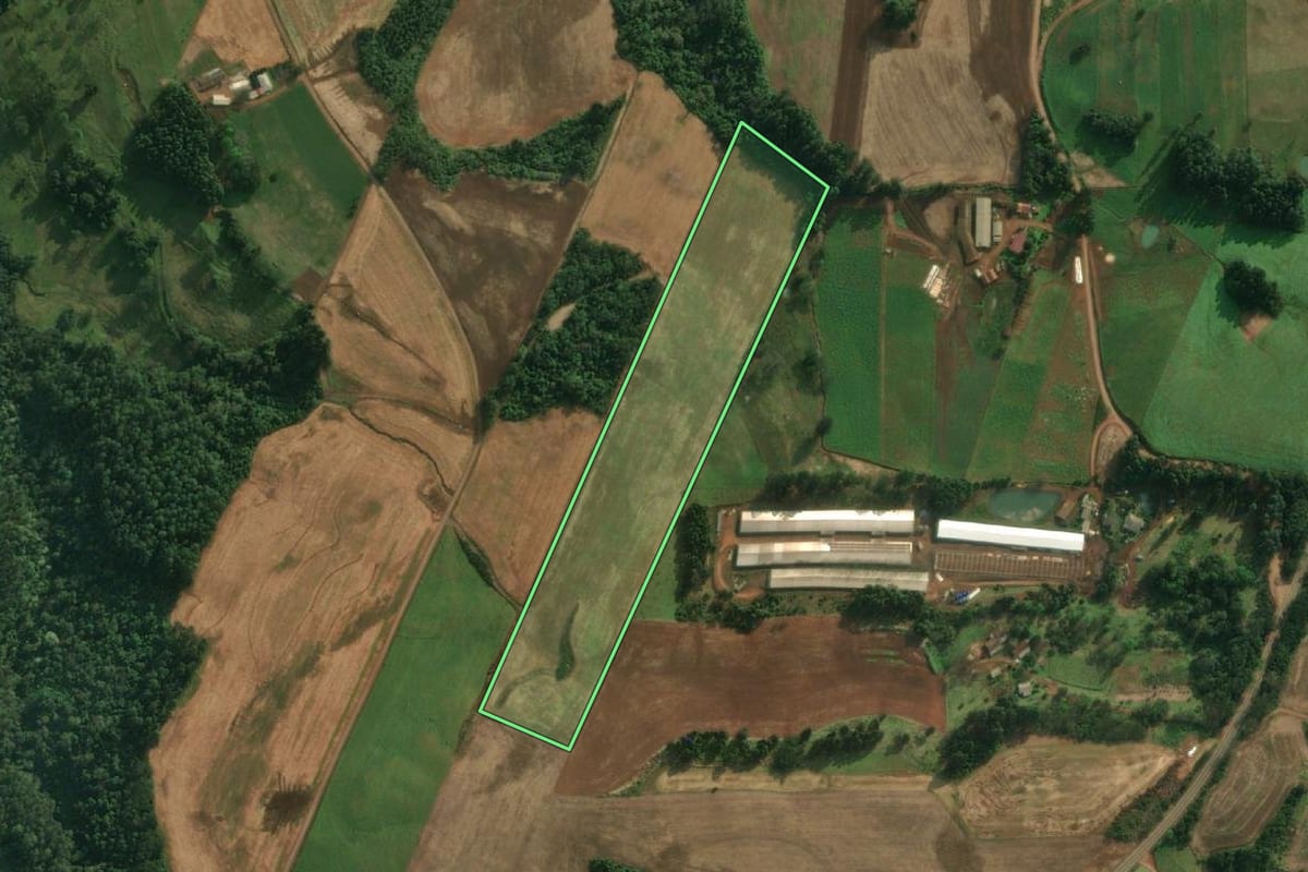 Imagem de satélite do imóvel rural em São João do Oeste (SC), com o contorno declarado no CAR desenhado por cima.