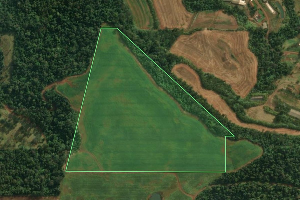 Imagem de satélite do imóvel rural em São João do Oeste (SC), com o contorno declarado no CAR desenhado por cima.