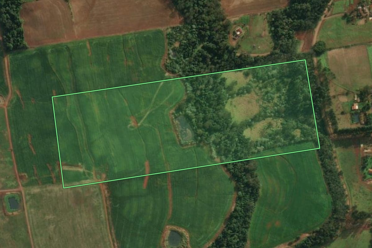 Imagem de satélite do imóvel rural em São João do Oeste (SC), com o contorno declarado no CAR desenhado por cima.