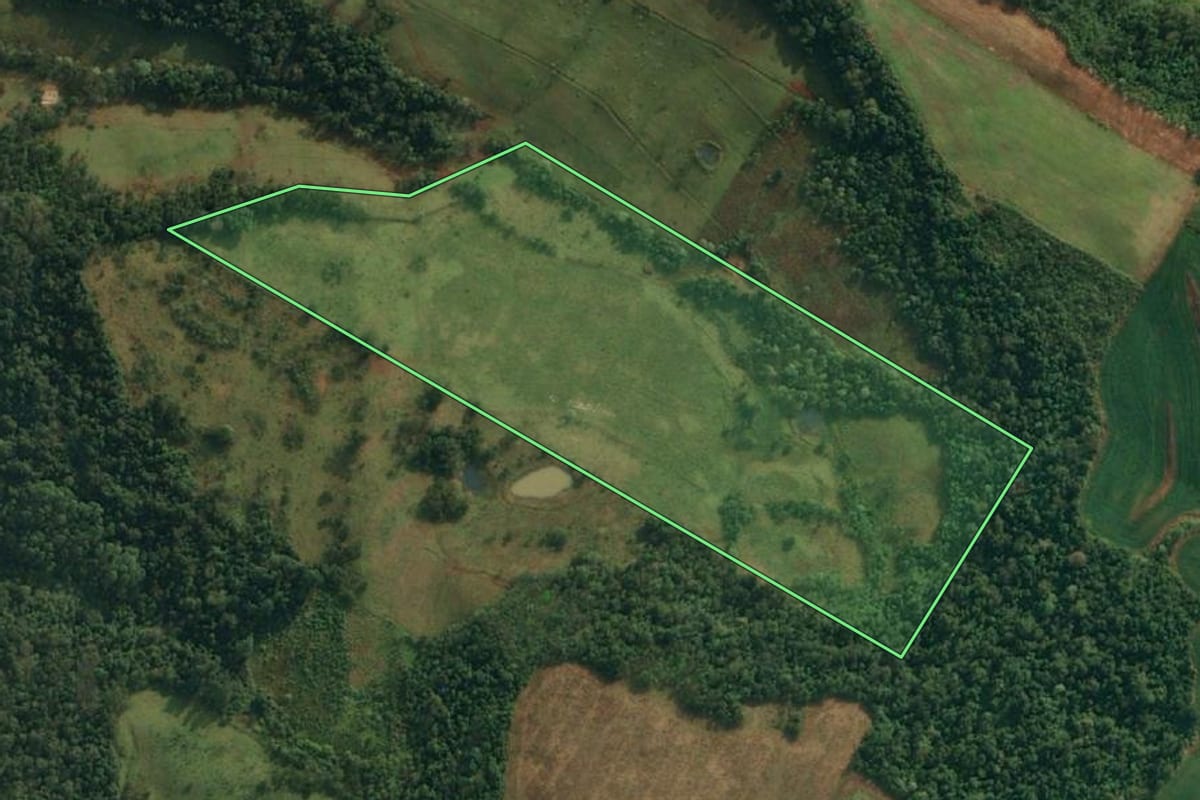 Imagem de satélite do imóvel rural em São João do Oeste (SC), com o contorno declarado no CAR desenhado por cima.