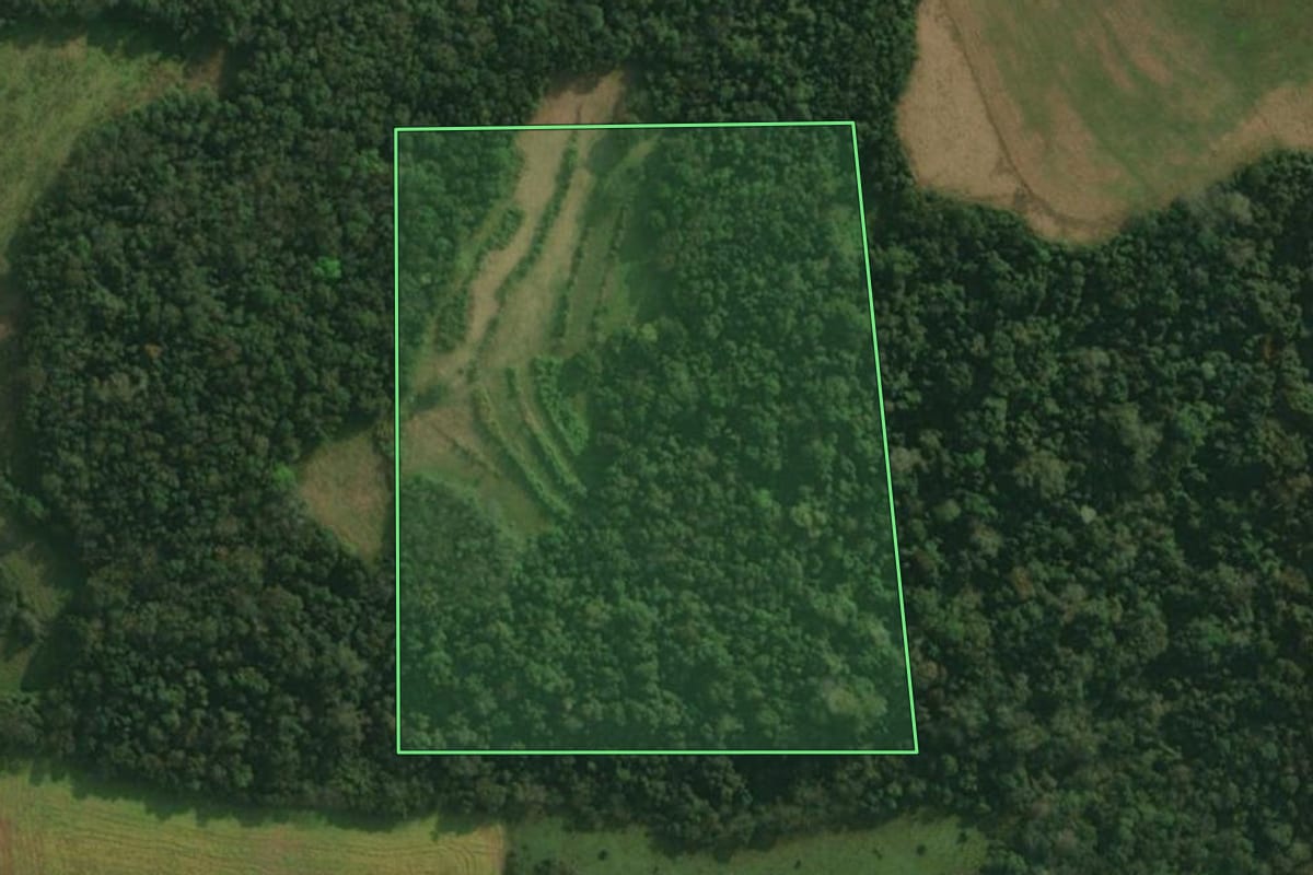 Imagem de satélite do imóvel rural em São João do Oeste (SC), com o contorno declarado no CAR desenhado por cima.