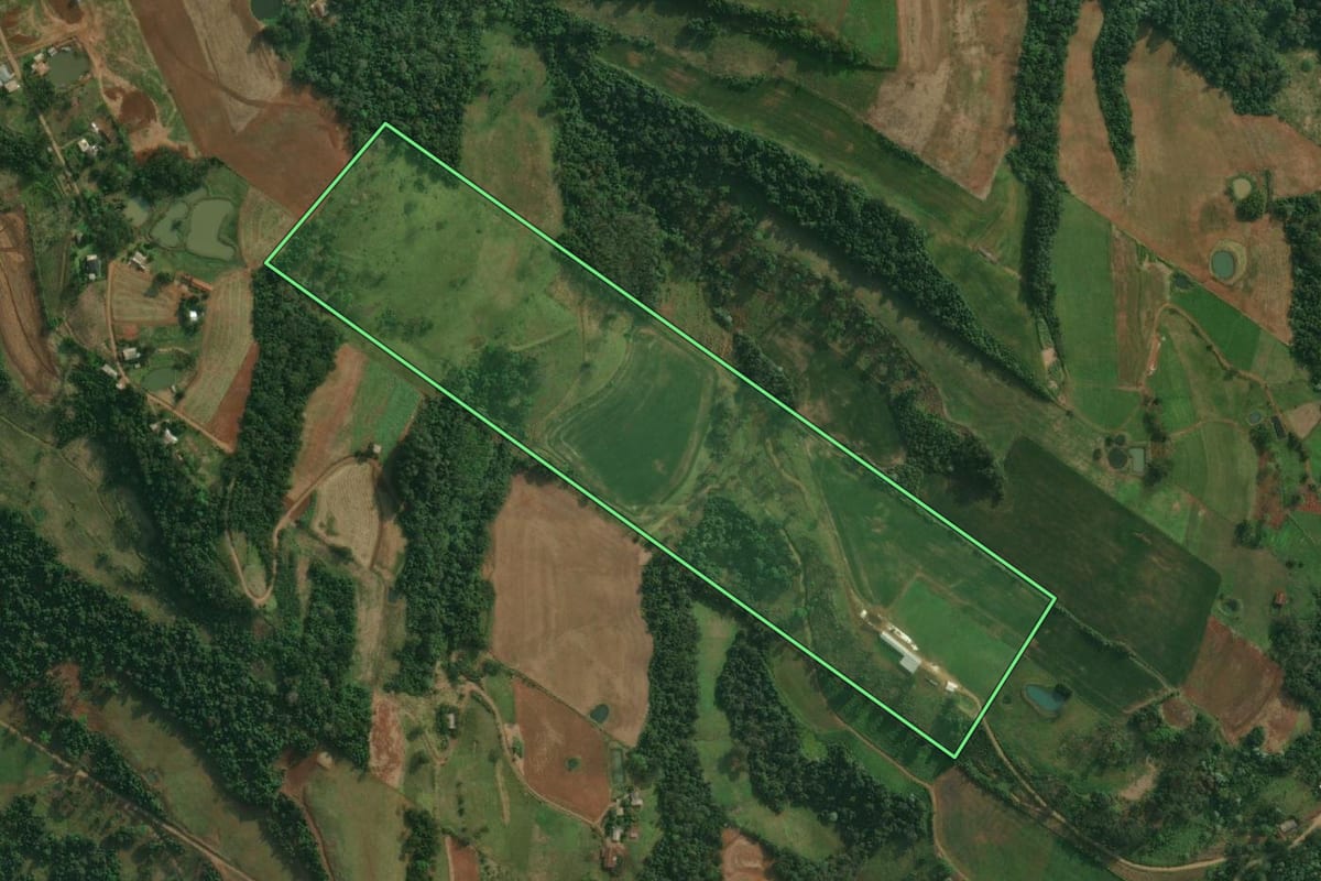Imagem de satélite do imóvel rural em São João do Oeste (SC), com o contorno declarado no CAR desenhado por cima.