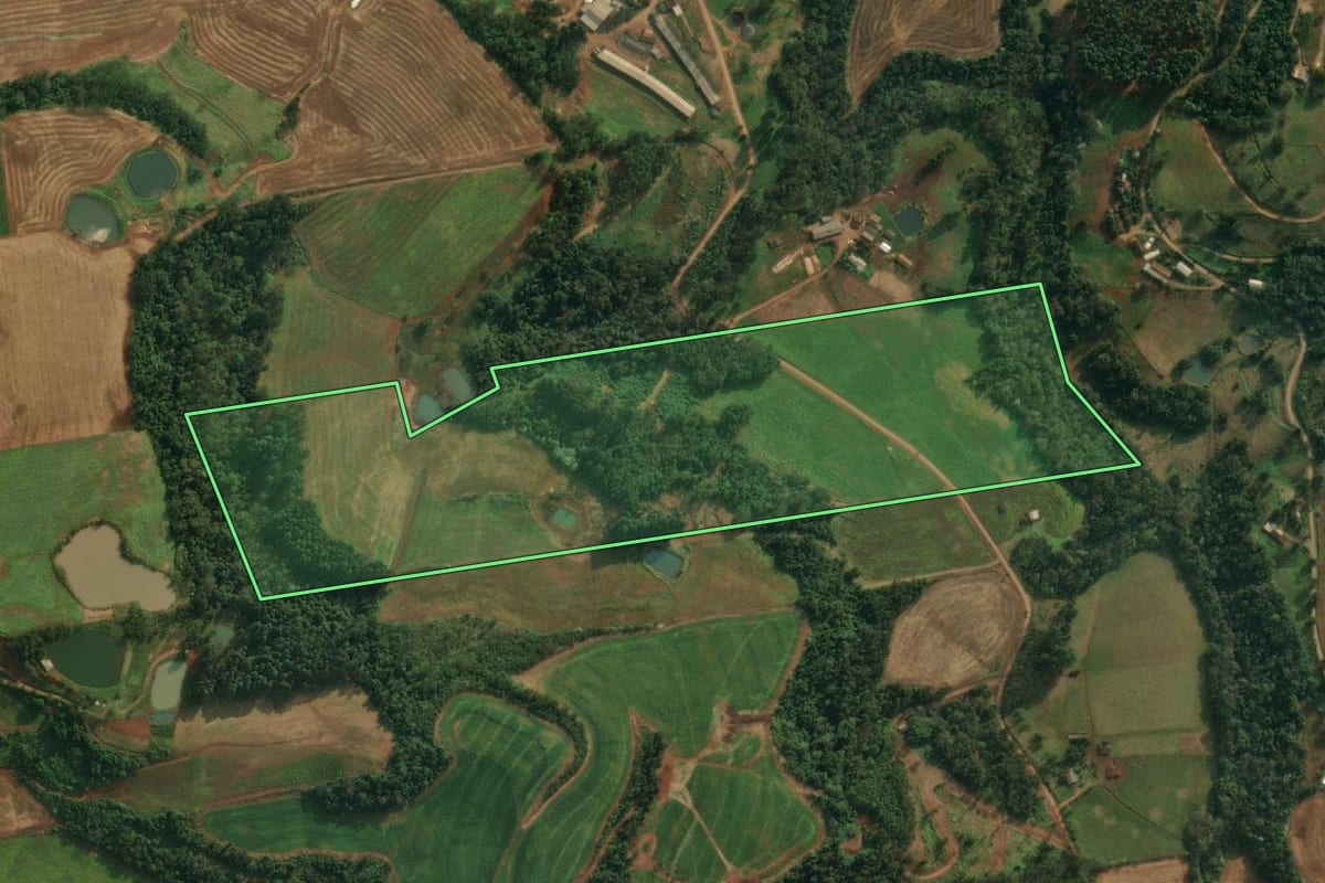 Imagem de satélite do imóvel rural em São João do Oeste (SC), com o contorno declarado no CAR desenhado por cima.