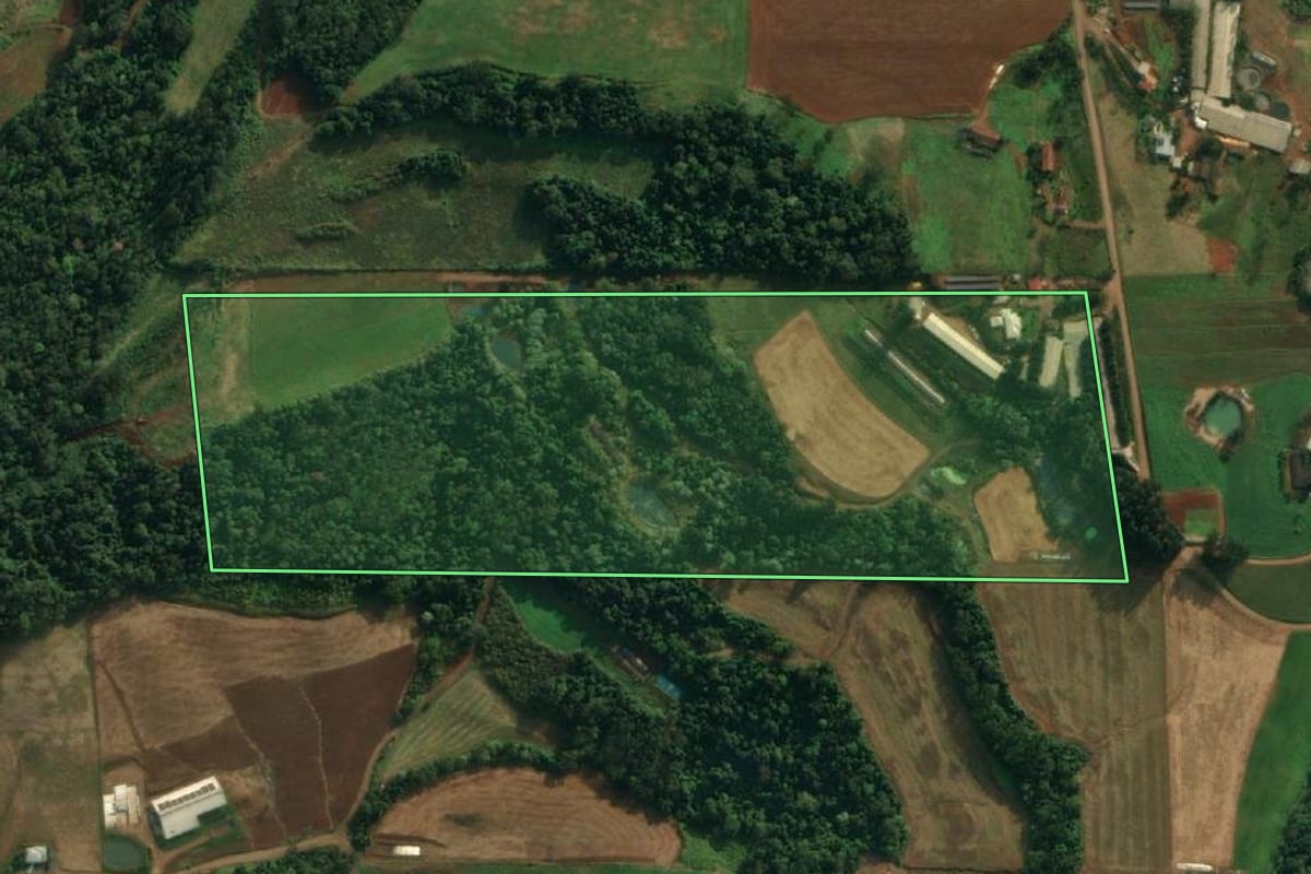 Imagem de satélite do imóvel rural em São João do Oeste (SC), com o contorno declarado no CAR desenhado por cima.